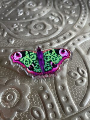 Pin's Papillon (coloris +)